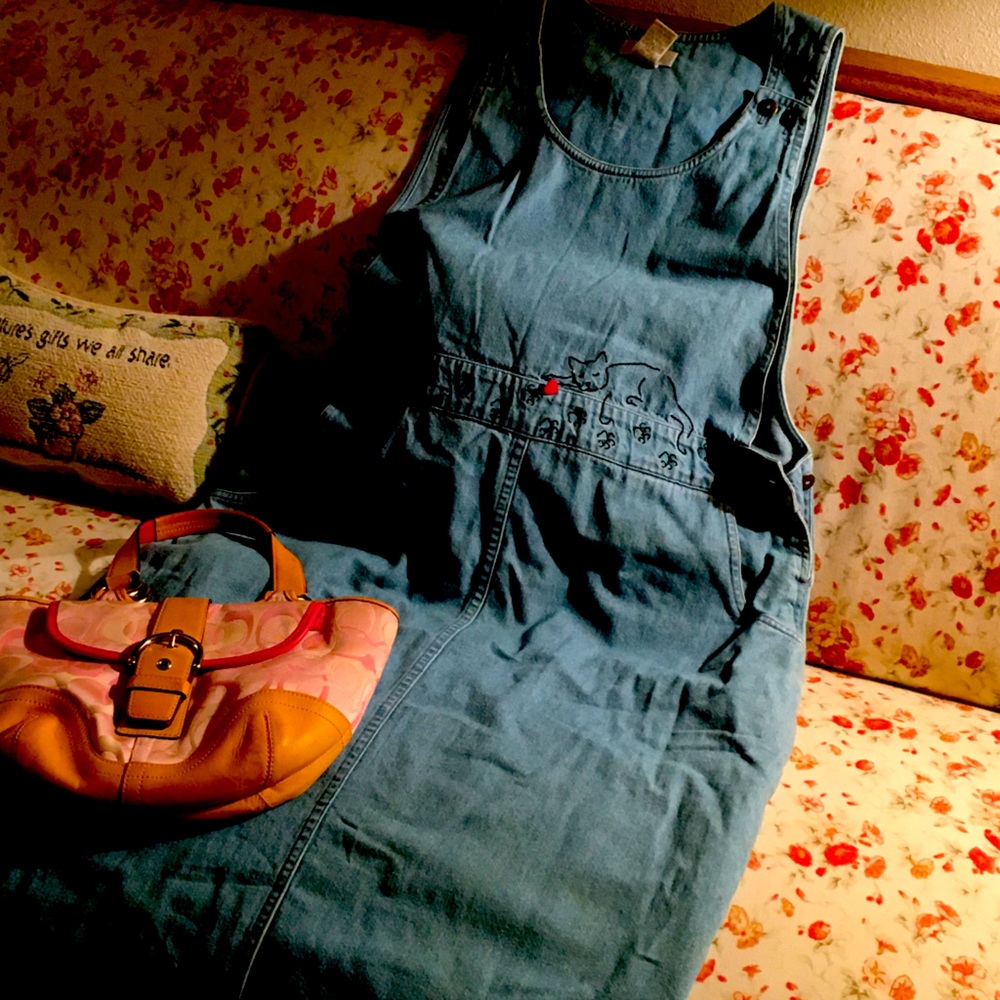 Jean Dress ,Purse